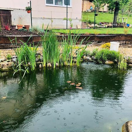 Ubytovanie U Mitiho Szalóc Dış mekan fotoğraf